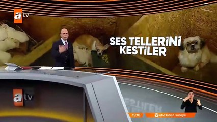 Polis Keçiören’deki bir otoparka baskın yaptı.