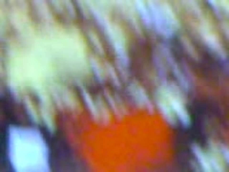 MOV00008