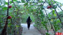 É novamente a estação em que as frutas e vegetais são muitos para comer, uma dor de cabeça