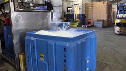 Frio, o melhor amigo da vacina de Covid-19