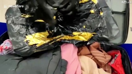 Un ordinateur saisi avec l'équivalent de 200.000$ d'or bien caché à l'interieur - Inde