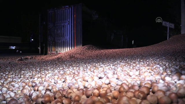 DÜZCE - Tırın devrilmesi sonucu D-100 karayolu fındıkla kaplandı