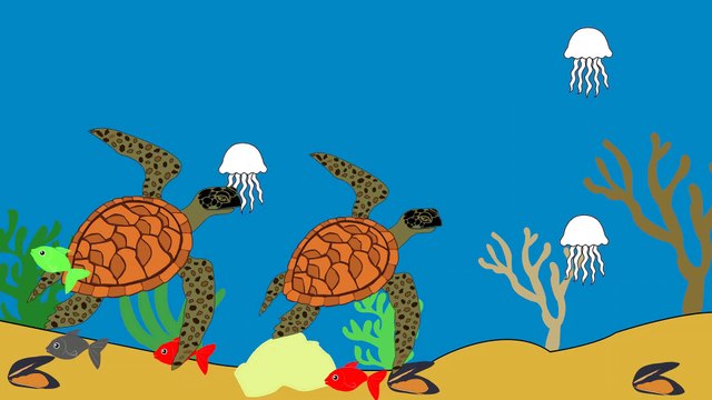 черепахи, наземная черепаха а также морская черепаха