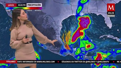 Cecy Salamanca (02/12/2020)