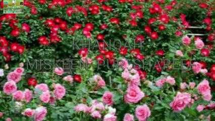 khubsurat naat /khubsurat awaz mein naat /deen e islam