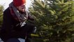 Did You Know That National Forests Will Let You Chop Down Your Own Christmas Tree?