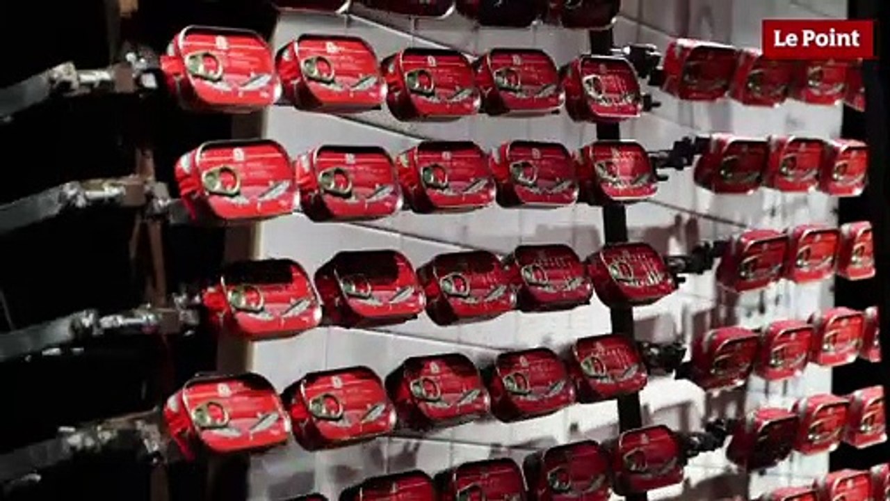 Exposition : Gilbert Peyre, "l'électromécanomaniaque"