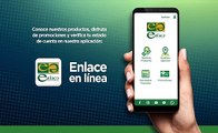 Cómo descargar la App Enlace en Línea