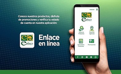 Cómo descargar la App Enlace en Línea