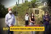 “Robacasas” acechan viviendas de una exclusiva avenida de La Molina