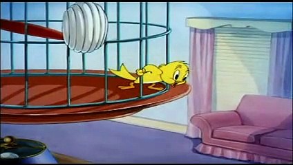 Tom & Jerry Old Classic Bangla Dubbed Episode 8