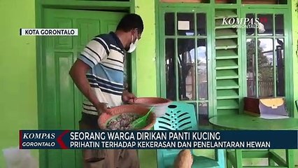 Prihatin Terhadap Kekerasan Dan Penelantaran Hewan, Seorong Warga Dirikan Panti Kucing