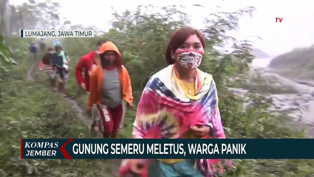 Gunung Semeru Meletus, Warga Panik Dan Mengungsi
