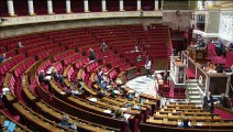 2ème séance : Répartition des conseillers de l’Assemblée de Guyane ; Système de santé par la confiance et la simplification ; réforme de  l'adoption  - Mercredi 2 décembre 2020