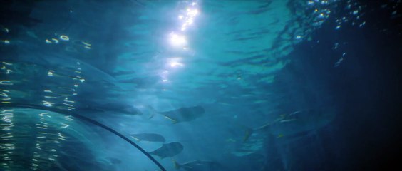 [Mew Suppasit] AQUARIUM MAN - TEASER