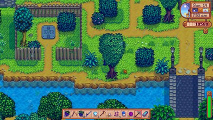 Stardew Valley: Krobus favorite gift