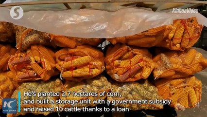 Impoverished village embraces new life in NW China's Ningxia