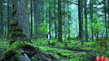 Salsa de carne con especias, hecha con hongos silvestres y aceite de pollo de rango libre
