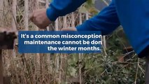 Long Island Tree Services 516-659-1463 Benefits of Winter Pruning
