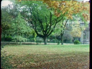 Jardin des Plantes automne 2020 surimpression