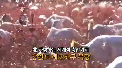 [영상구성] 겨울 맞은 北세포등판