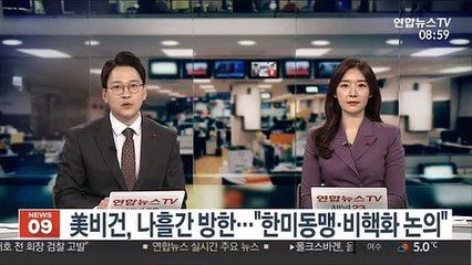 美비건, 나흘간 방한…"한미동맹·비핵화 논의"