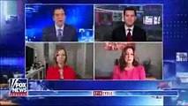 FOX News panel analyzes CNBC stars' fiery clash over COVID restrictions