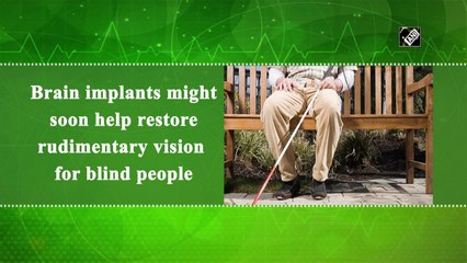 Brain implants might soon help restore rudimentary vision for blind people