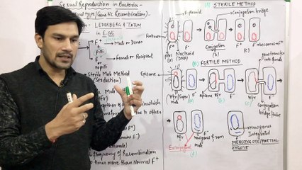 Reproduction in Bacteria Part-2(Sexual-Conjugation)Genetic Recombination or Parasexuality