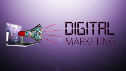 062 - Digital Marketing - Twitter Followers and Follows