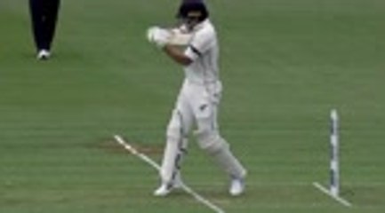 Williamson imperious as New Zealand build big total