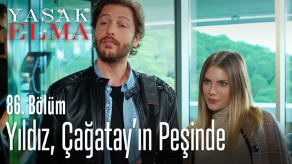 Yıldız, Çağatay'ın peşinde - Yasak Elma 86. Bölüm