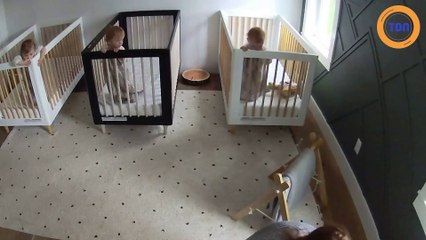 Hilarant ! Ces triplés entendent de la musique et dansent en étant synchronisés dans leurs berceaux !