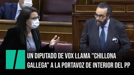 Un diputado de Vox llama "chillona gallega" a la portavoz de Interior del PP