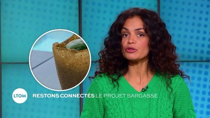 Restons connectés : Le projet Sargasse