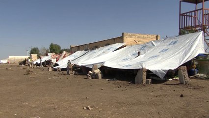 أغلبهم نساء وأطفال.. استمرار تدفق اللاجئين الإثيوبيين للسودان