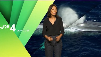 Lumni Nature- Prédateurs : Épisodes # 04; 05 - Bande Annonce