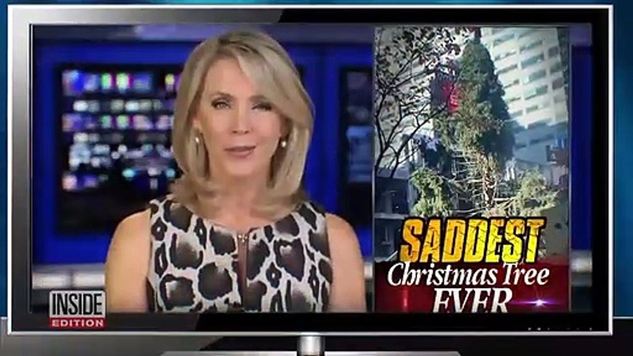 Rockefeller Center Christmas Tree Gets ‘Spruced Up’