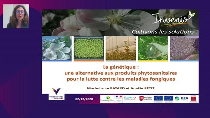 La génétique : une alternative aux produits phytosanitaires pour la lutte contre les maladies fongiques