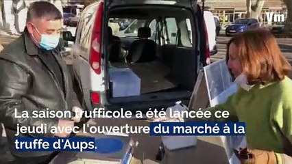La saison trufficole lancée dans la Var avec l'ouverture du marché à la truffe d'Aups
