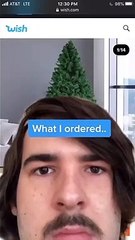 Encomendou uma árvore de Natal na Wish mas não era bem aquilo que ele estava à espera...