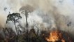 Amazon sees highest levels of deforestation in 12 years