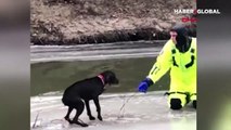 Buz tutan nehirde mahsur kalan köpek böyle kurtarıldı