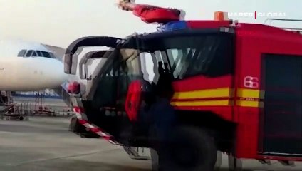 Arılar yolcu uçağını istila etti! Tazyikli su ile dağıtıldı