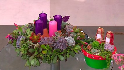 bd-coronas-de-adviento-con-suculentas-031220