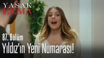 Yıldız'ın yeni numarası - Yasak Elma 87. Bölüm