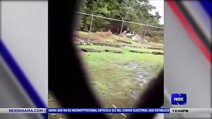 Huelga de hambre en la cárcel de mujeres en Algarobos, Chiriquí  - Nex Noticias