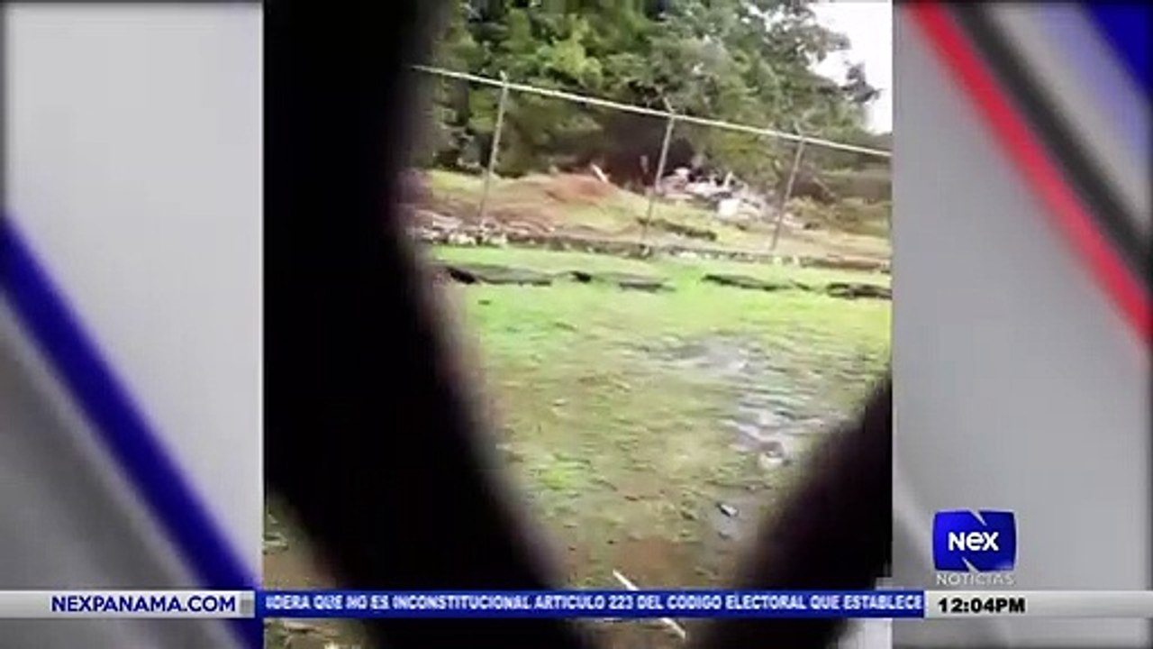 Huelga de hambre en la cárcel de mujeres en Algarobos, Chiriquí  - Nex Noticias