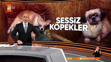 Ses tellerinin neden kesildiği ortaya çıktı!