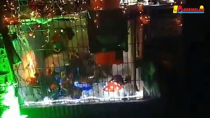 À Gulliers, les décorations sont au rythme de la musique